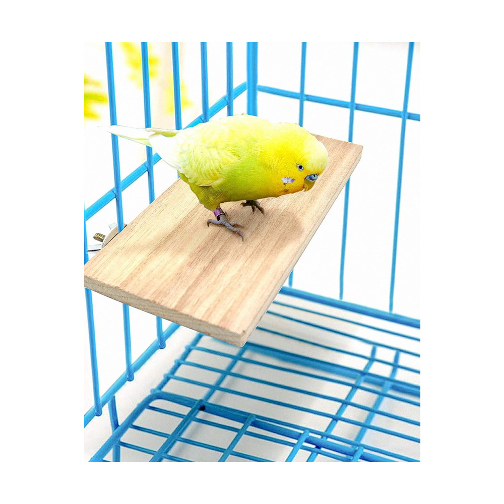4 PCS Kuş Levrek Standı Platform Oyuncak - Doğal Ahşap Kuş Kafesi Aksesuarları 2 Düz, 2 Digdörtgen