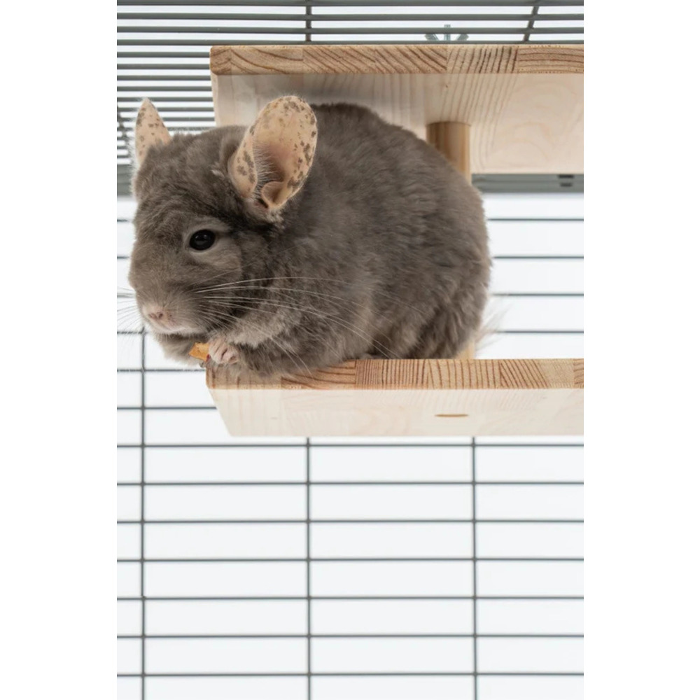 Çift Yüzlü Ahşap Platform – Çam 24.8 cm Genişlikli “Double-Sided Chinchilla Ledge”