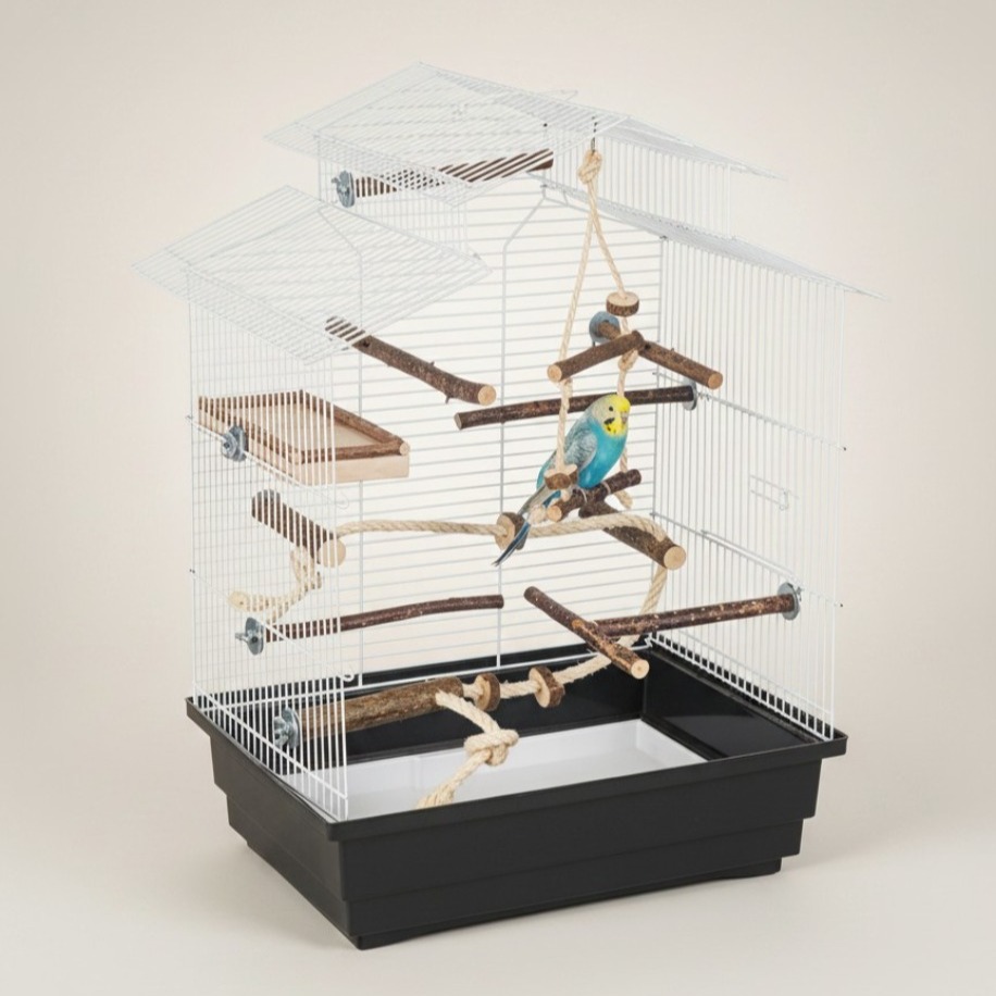 ALYONES 9 Parça Kuş Oyuncak ve Tünek Seti – Temel Kafes Ekipmanları Paketi