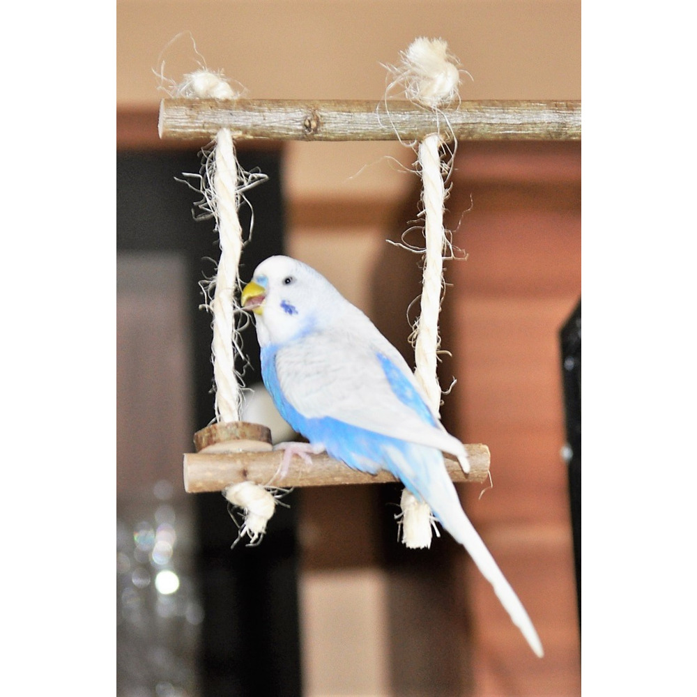 Kuş Salıncaklı Levrek - Doğal Ağaç Dilimli Tünek, 2'si 1 Arada Tasarım