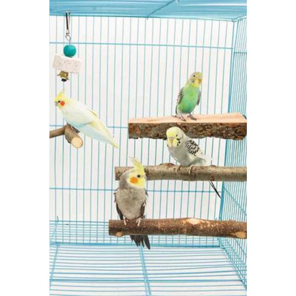 4 Paket Doğal Ahşap Kuş Levrek, Papağan Standı Levrek Platformu