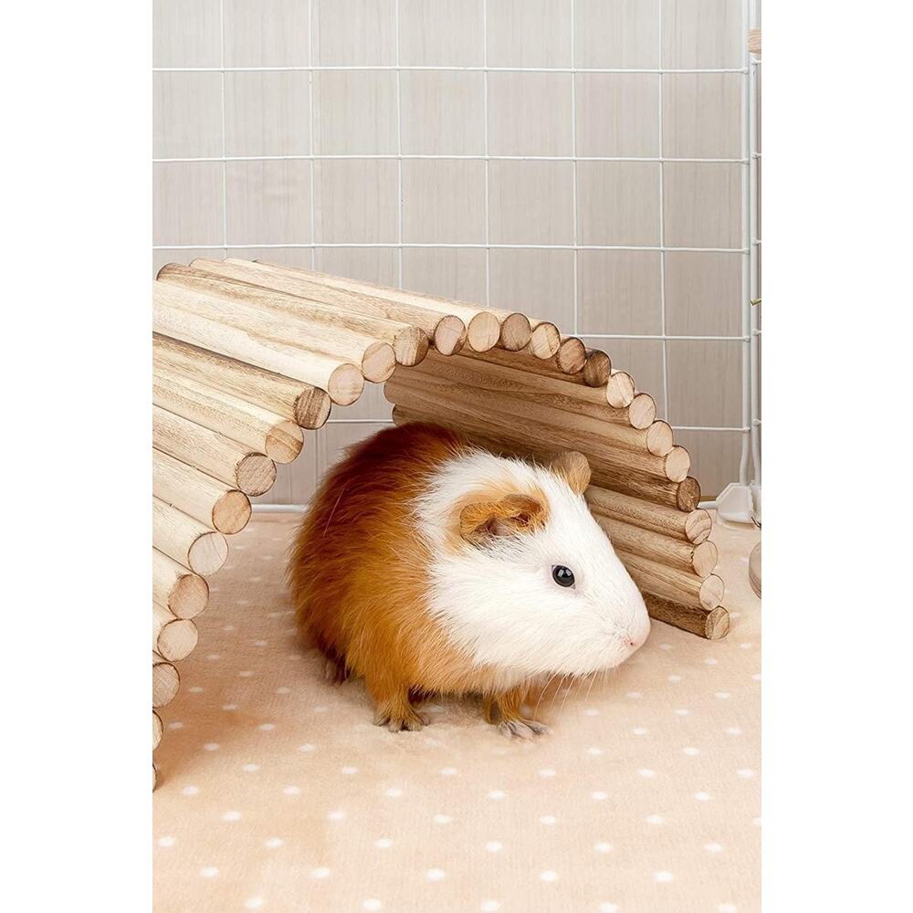 (40cm X 20cm) Hamster Gerbil Fare Sıçan Gine Domuzu Veya Diğer Küçük Hayvanlar Için Köprü Merdiveni