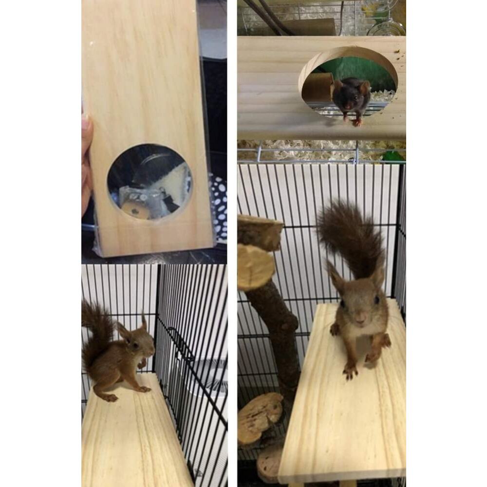 Ahşap Stand Platformu Papağan Muhabbet Kuşu Papağan Papağanı Conure Hamster Fare Chinchilla