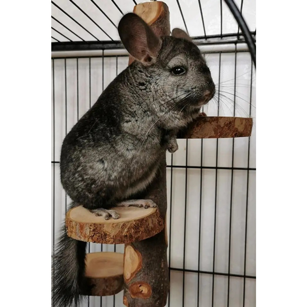 Çevre Dostu Chinchilla Standı ve Kuş Oyuncağı - Çok Amaçlı Bite Dayanıklı Levrek Standı