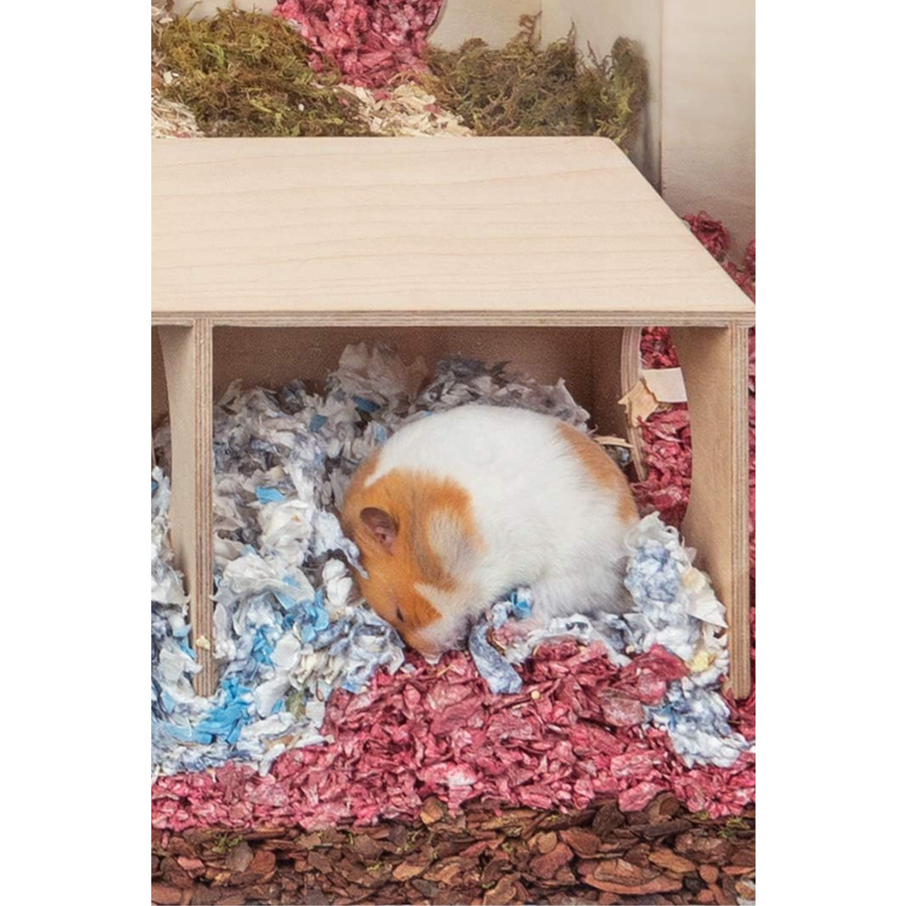 Suriye Hamsterı İçin Büyük Boy Gizli Gözlem Evi - 2 Odalı Tünel ve Saklanma Oyuncağı