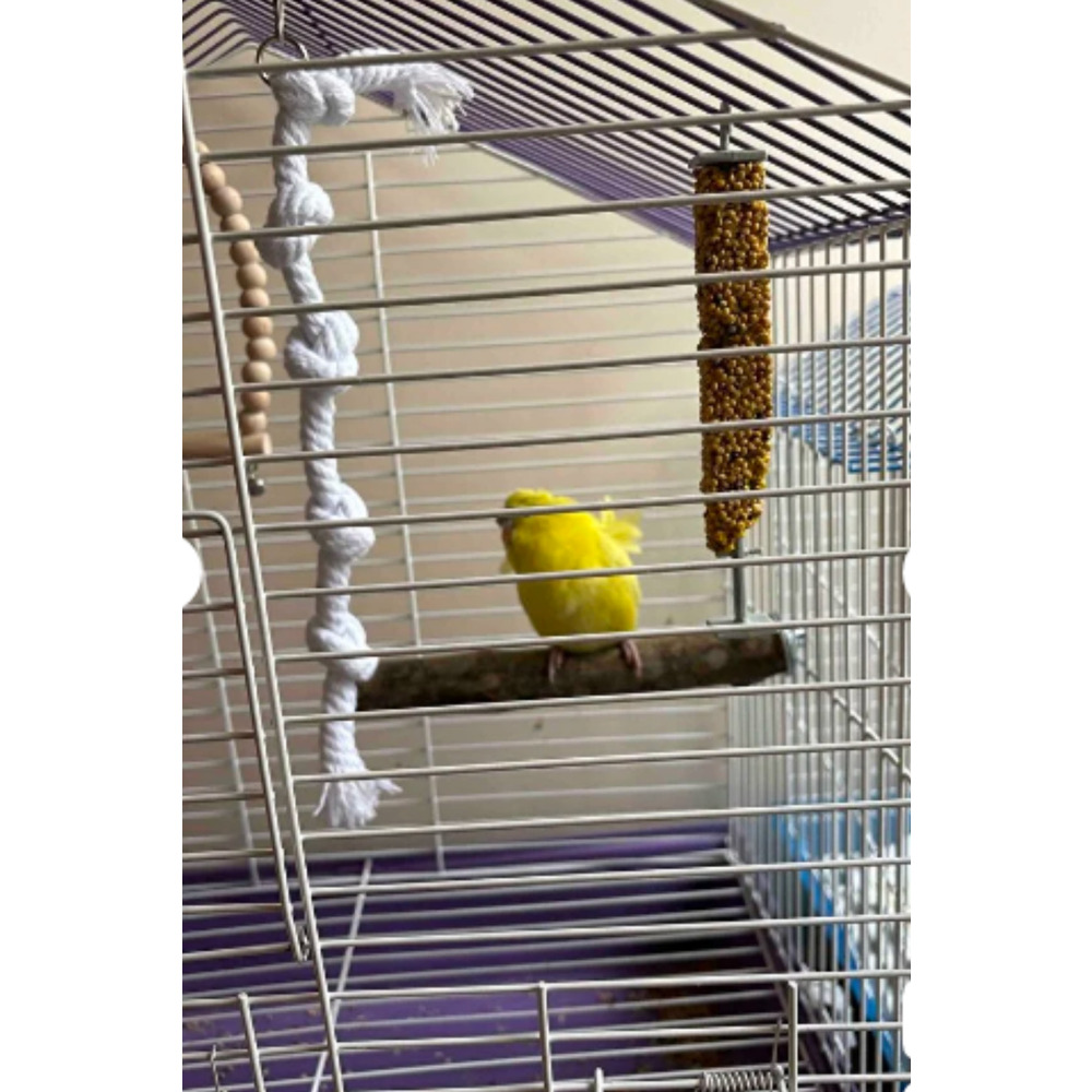 Papağan Kuş Stres Halatı | 40 cm | Kuş Kafesi Aksesuarı