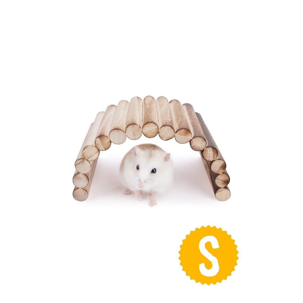 (20cm X 10cm) Hamster Gerbil Fare Sıçan Gine Domuzu Veya Diğer Küçük Hayvanlar Için Köprü Merdiveni
