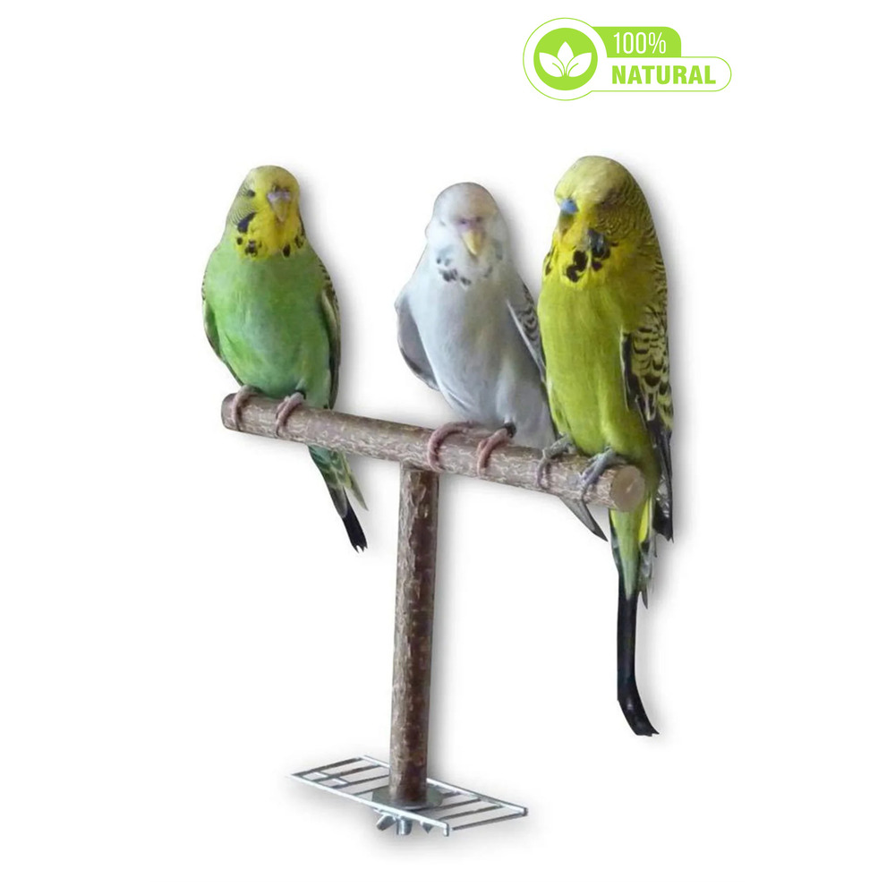 Kuş Standı Masa Üstü – Taşınabilir T-Stand, Küçük ve Orta Boy Papağanlar İçin Oyun Alanı