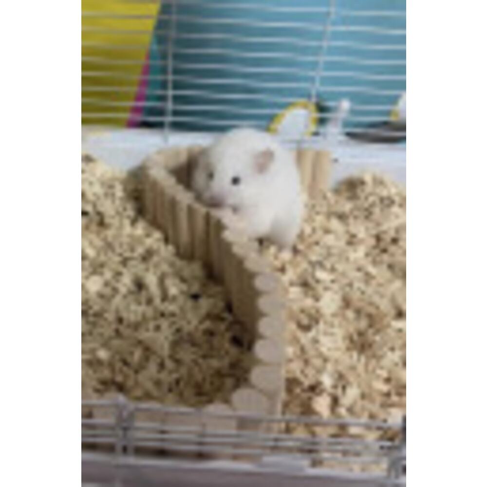 Hamster Uzun Ahşap Köprü, Cüce Hamster Bükülebilir Merdiven,