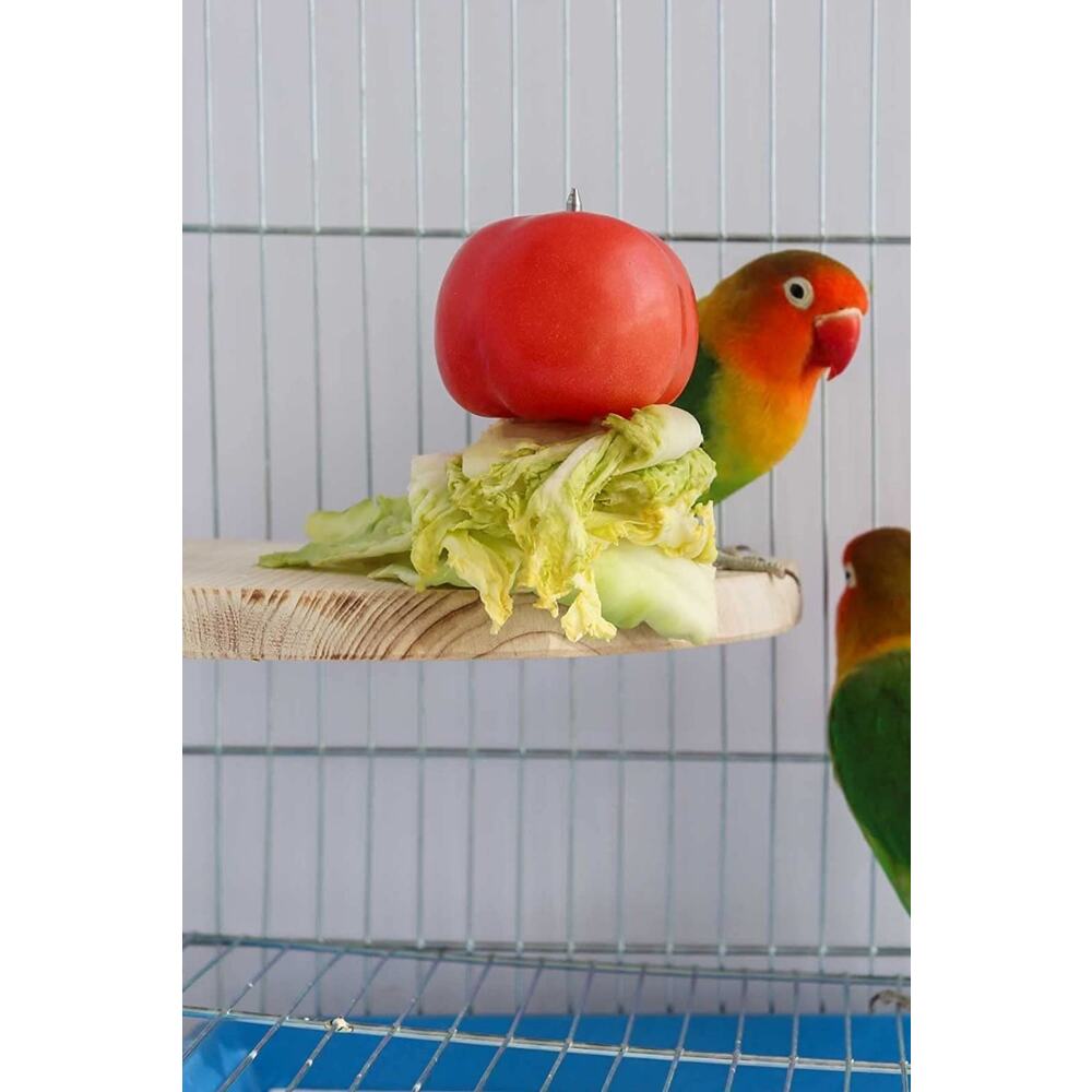 Çeyrek Daire Çivili Kuş Hamster Yemek Mama Tüneği, Uş Mama Tutucu, Doğal Ahşap Kuş Kafesi Tüneği