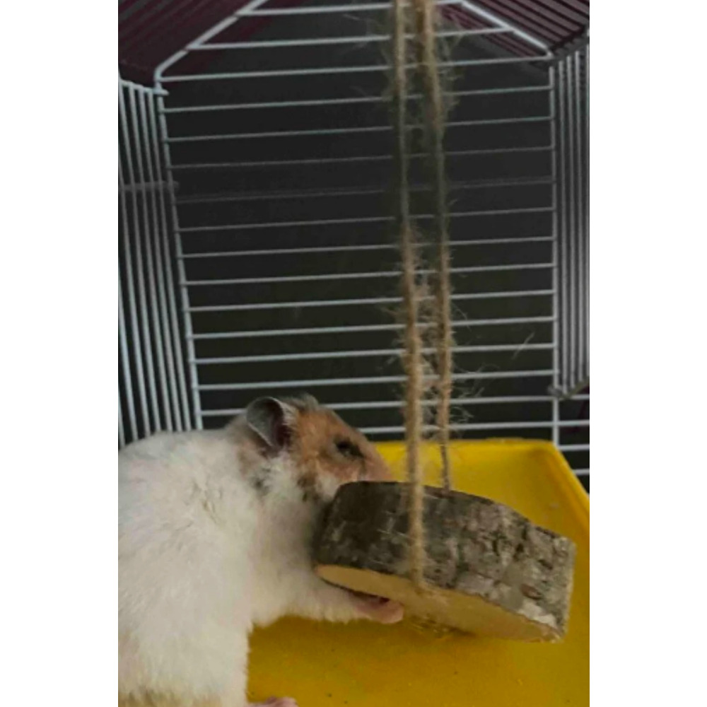 Doğal Ahşap Kemirme Oyuncağı – Hamster ve Tavşanlar için Sağlıklı ve Dayanıklı Oyuncak
