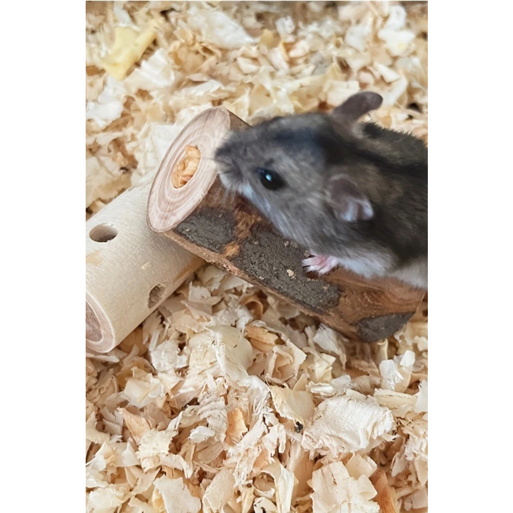 1 adet Doğal Ahşap Çiğneme Oyuncağı - Hamster, Tavşan ve Kemirgenler İçin Diş Kaşıyıcı Çubuk