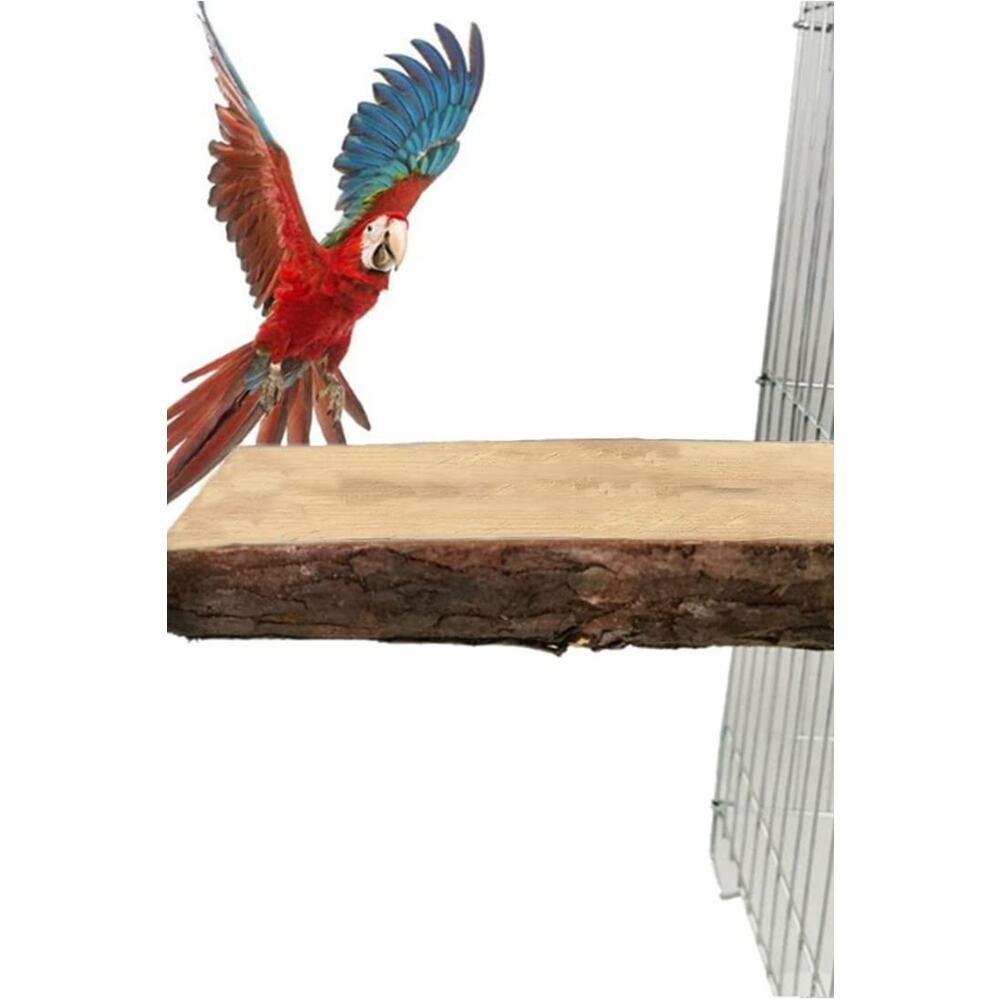 2 Paket Kuş Standı Ahşap Eğlence Platformu Doğal Ahşap Tünek