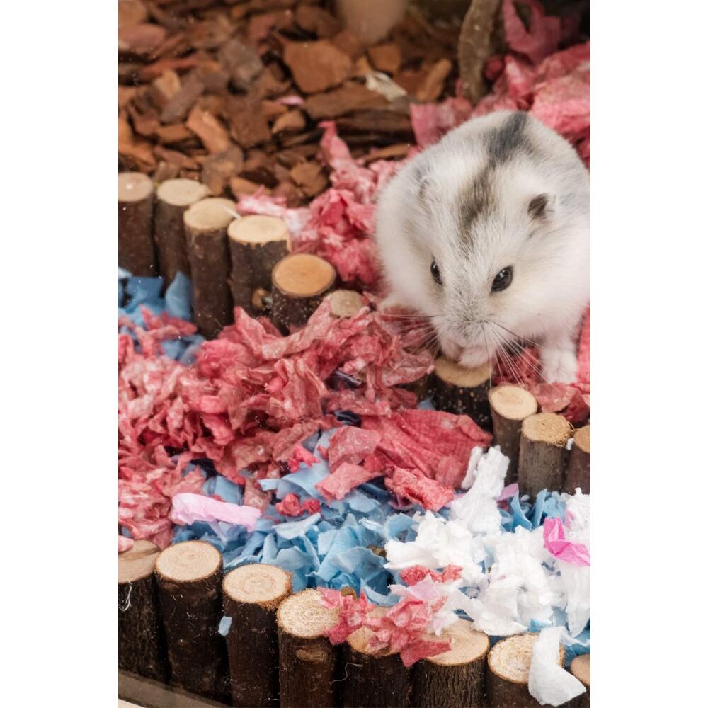 Hamster Asma Köprü, Fare Gerbiller Ve Diğer Küçük Hayvanlar Için Uzun Tırmanma Merdiveni