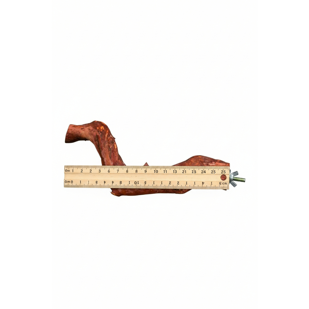 Doğal Ahşap Kuş Tüneği 25 cm Kuş Kafesi Aksesuarı Güvenli ve Sağlıklı Dinlenme Alanı