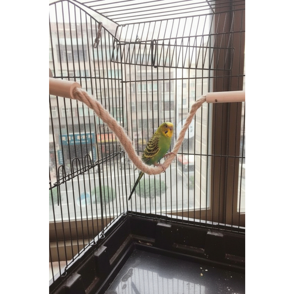 Kuşlar İçin Hava Bağlantılı Kablolu Oyun Hepi PLC 50 cm Kuş Aktivite Oyuncağı