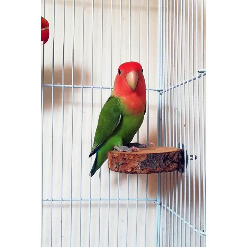 2 Paket Doğal Ahşap Yuvarlak Papağan ve Muhabbet Kuşları Için Platform Standı