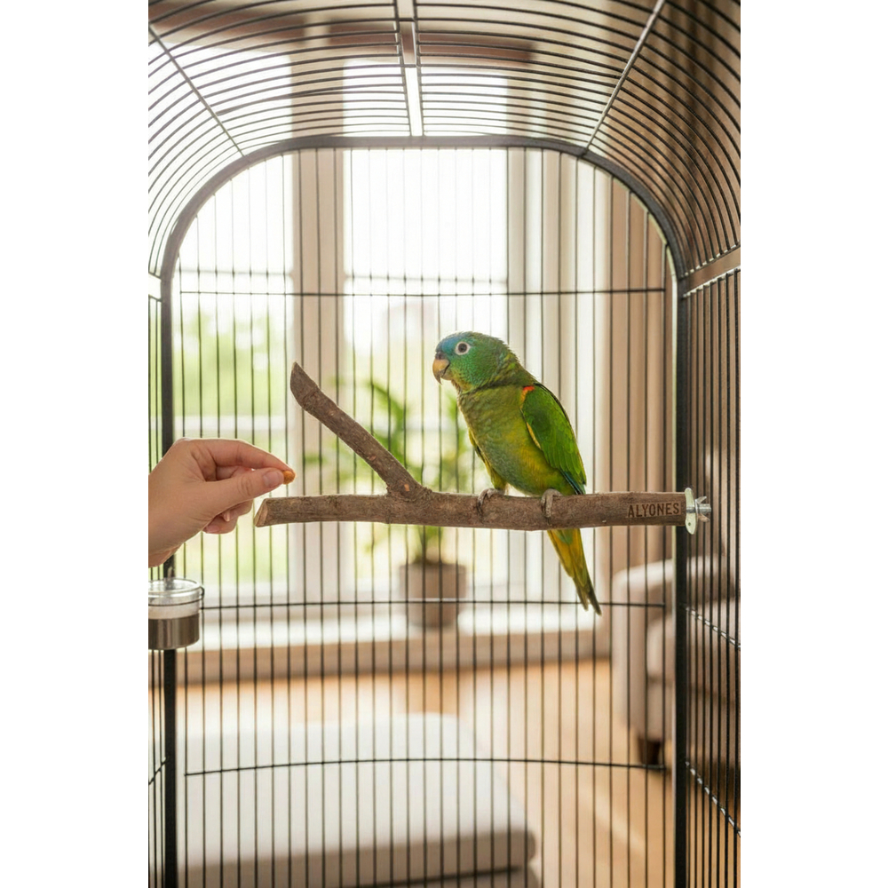 Doğal Ahşap Dal Kuş Tüneği 20 cm Kuş Kafesi Aksesuarı Sağlam Tünek ve Dinlenme Alanı