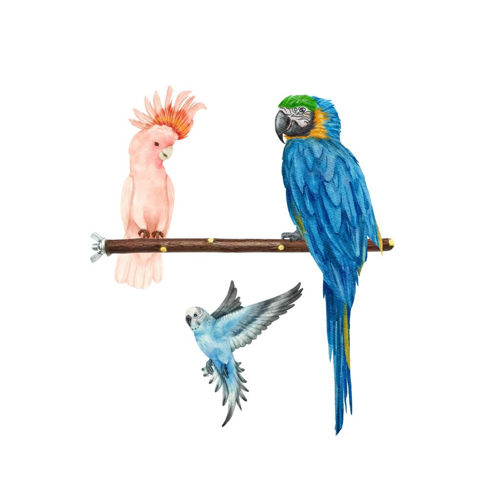 Doğal Dal Kuş Tüneği 22 Cm