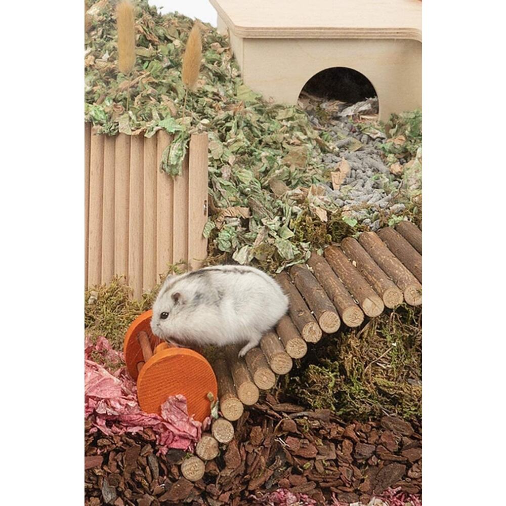 Hamster Fare Sıçan Kuşlar Için Eğlenceli Ahşap Merdiven Köprü