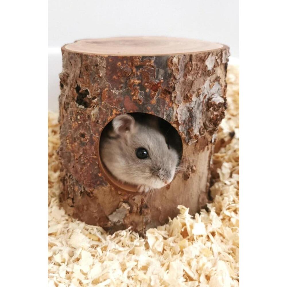 Hamster Elma Ağacı, Ağaç Deliği Kaçış Yuvası, Delik Ahşap Iskele Peyzaj