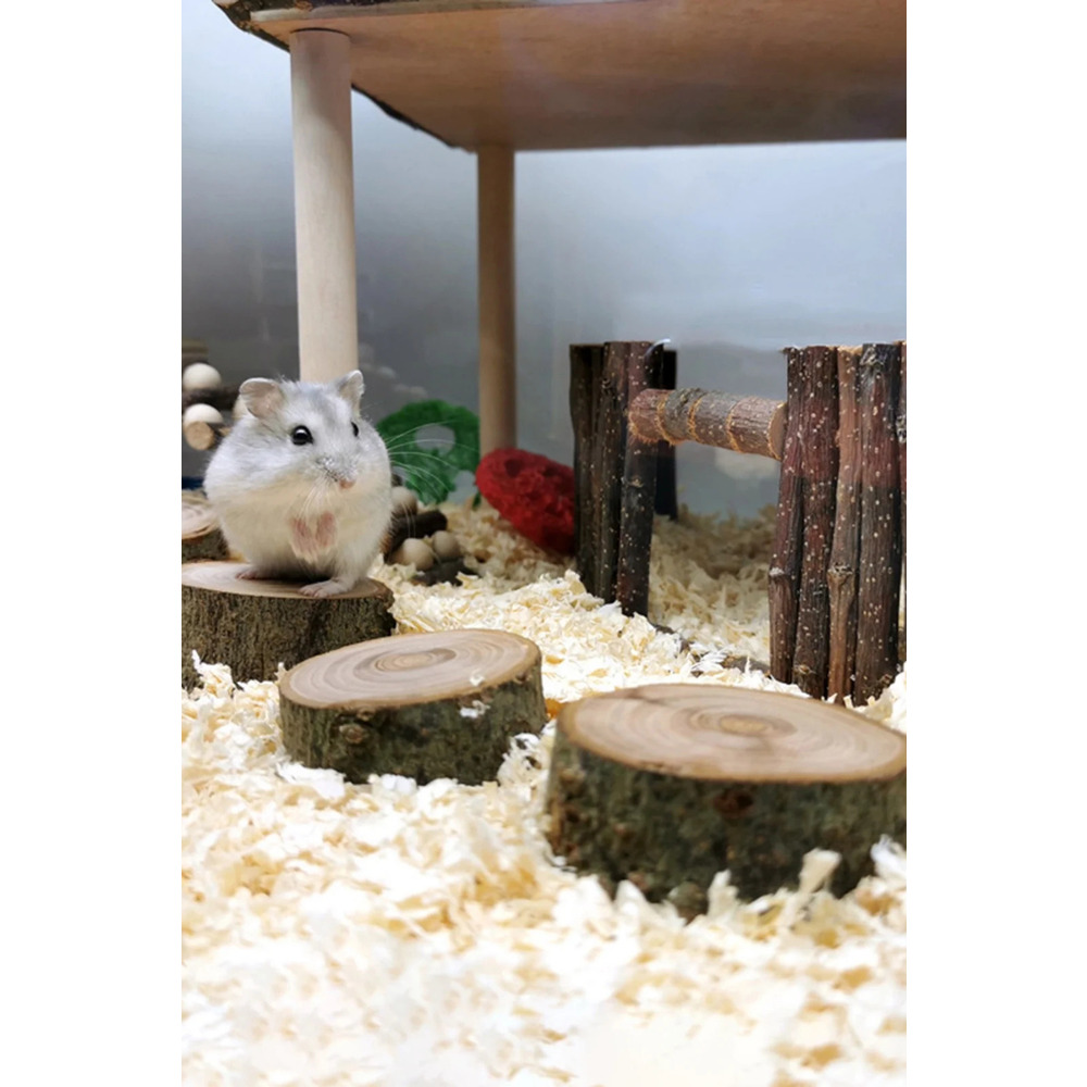 Doğal Ahşap Hamster Platformu – 3 Adet, 3 cm Yükseklik, 5 cm Çap, Dayanıklı ve Güvenli
