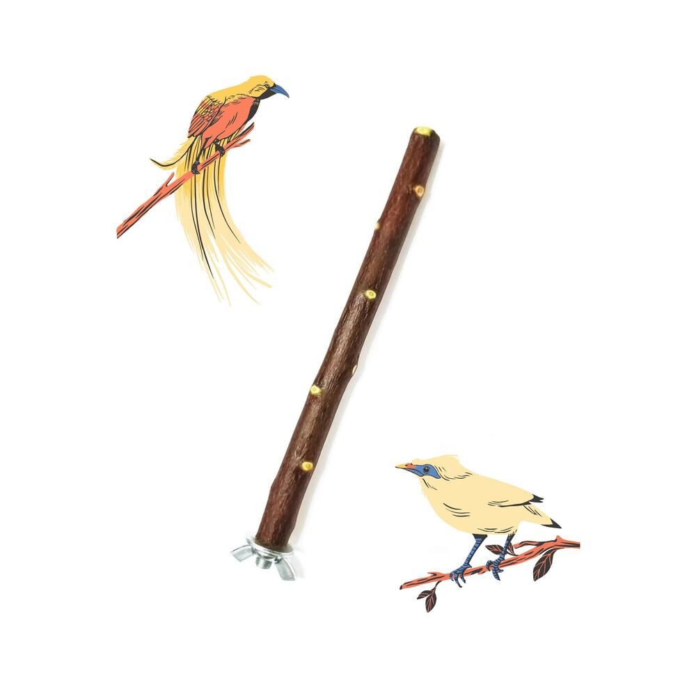 Doğal Dal Kuş Tüneği 22 Cm
