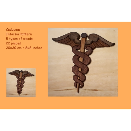 Intarsia pattern: Caduceus.
