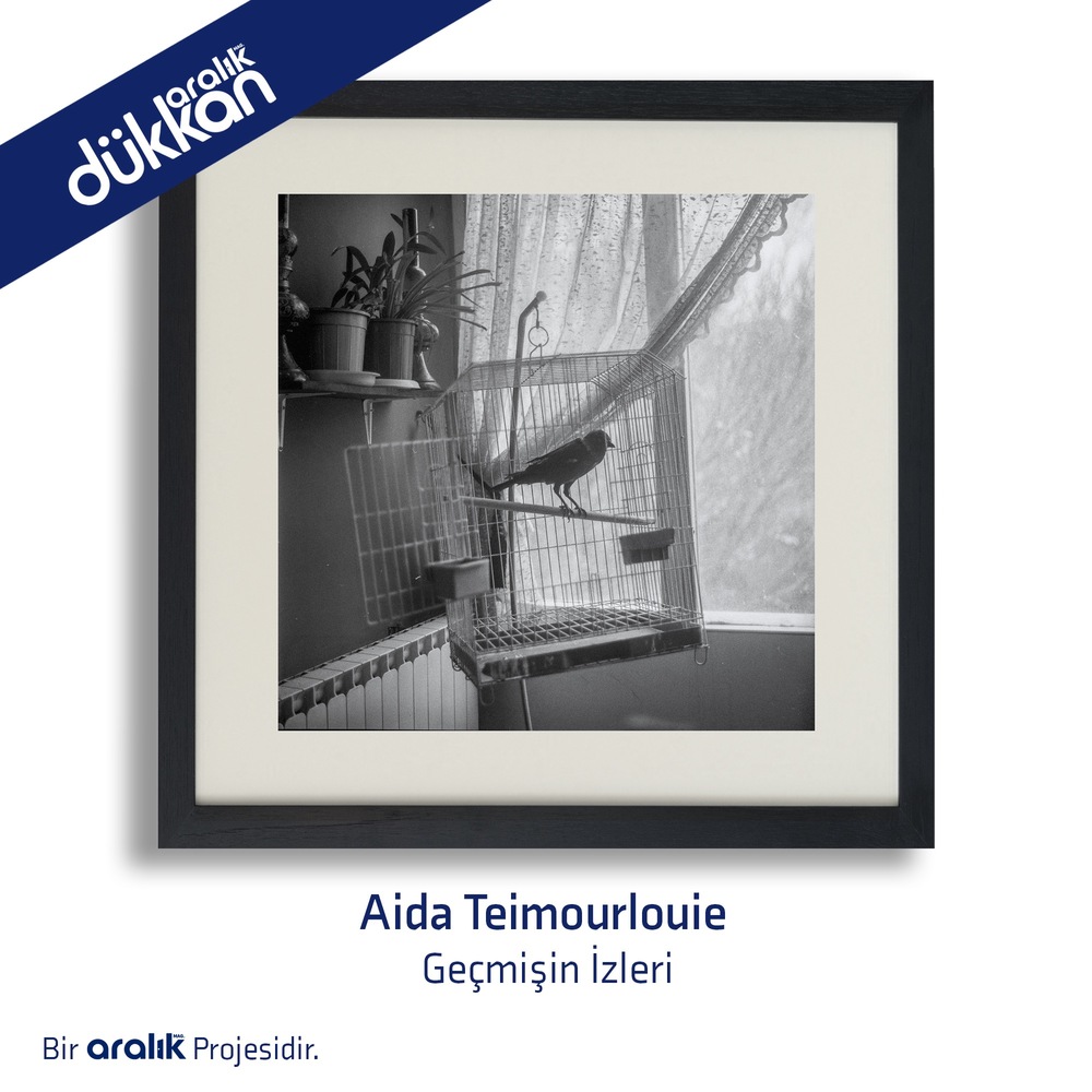 Geçmişin İzleri / Aida Teimourlouie