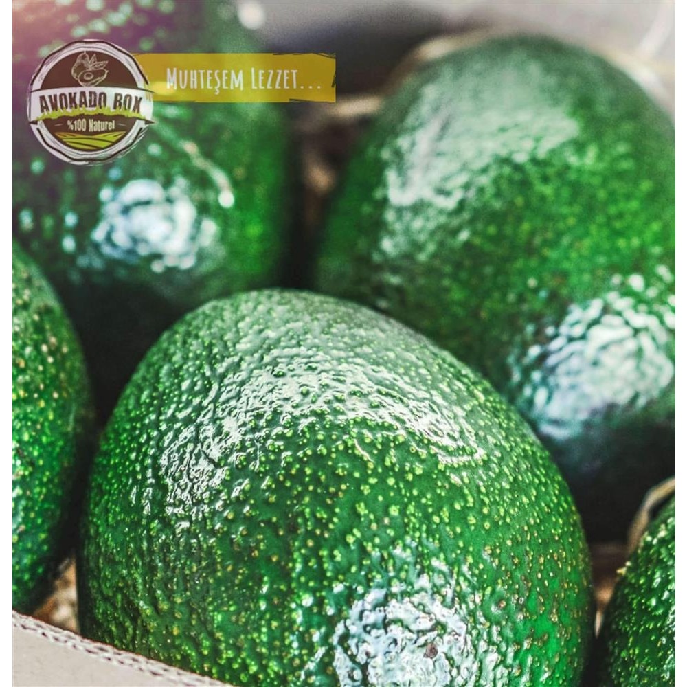 AVOKADO BOX 8'Lİ PREMİUM PAKET (OTOMATİK GÖNDERİM)