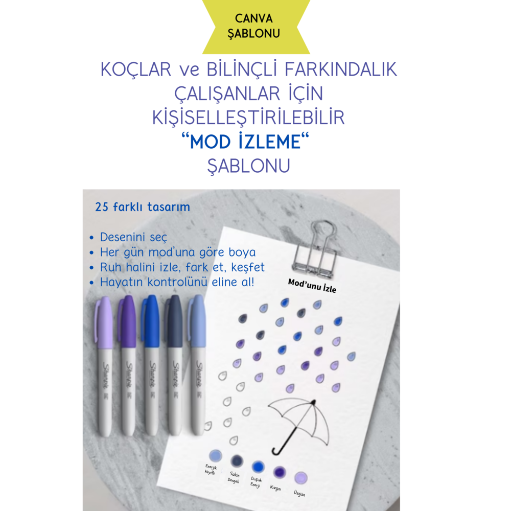 Mod'unu İzle: Profesyonel Koçluk Araçları 