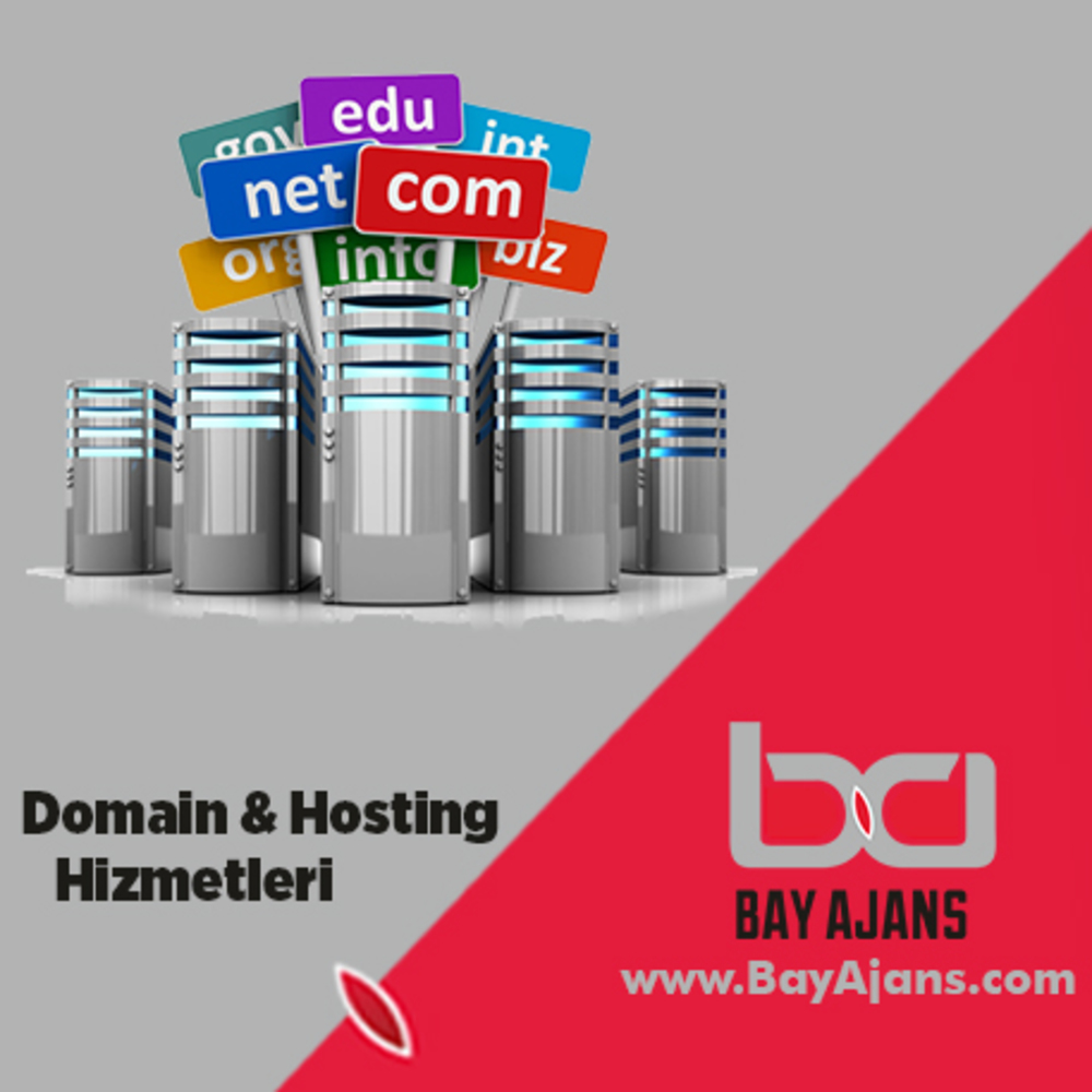 Domain Hosting Ücreti (Yıllık)