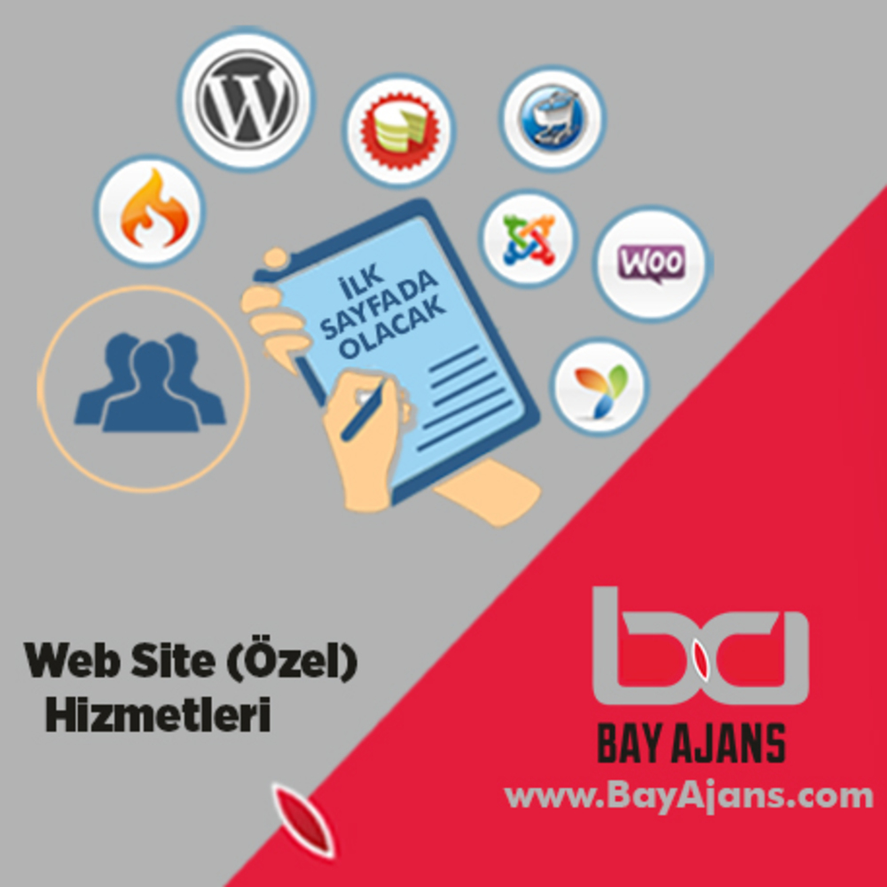 Web Sitesi (Seo Özel Yazılım)