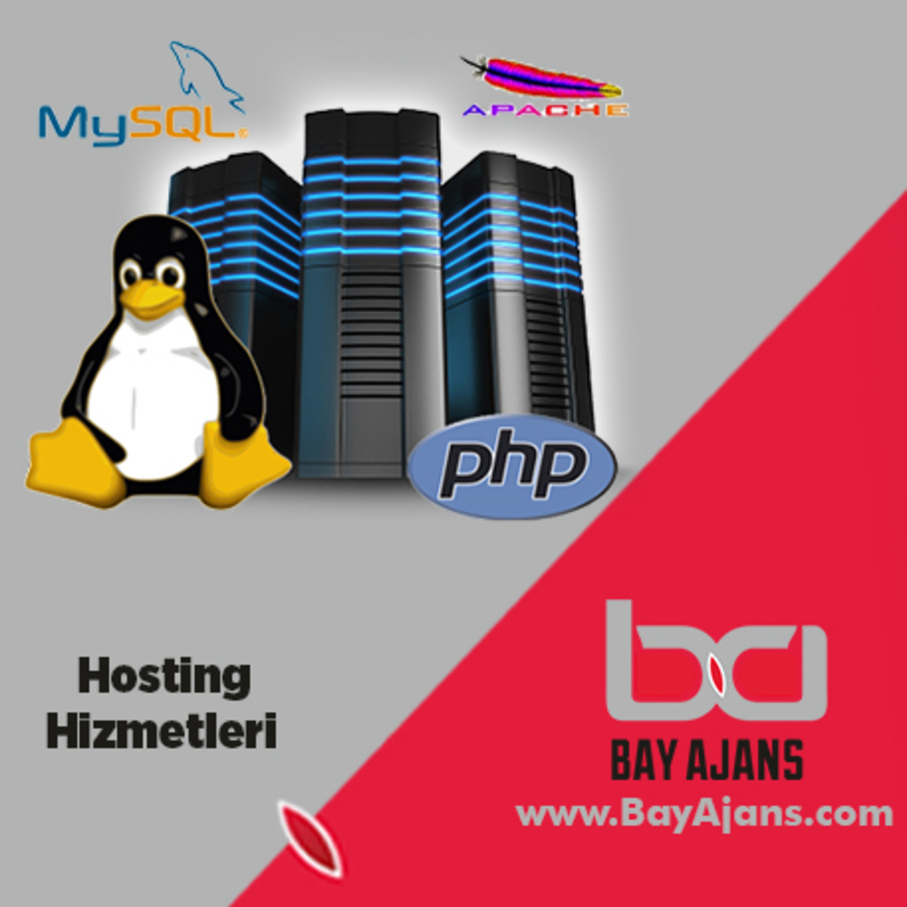 Hosting Ücreti Yıllık