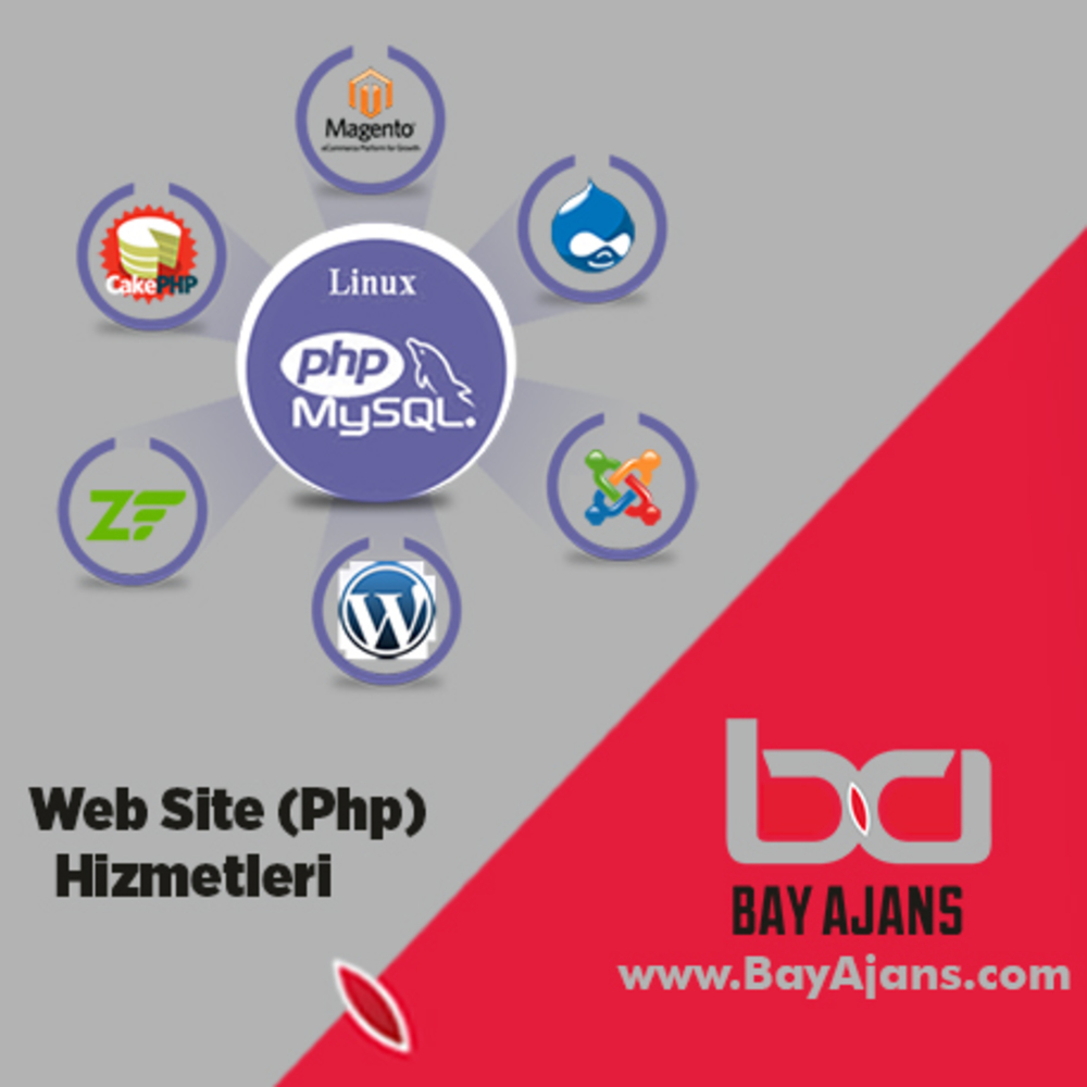 Web Sitesi (Yönetim Panelli)