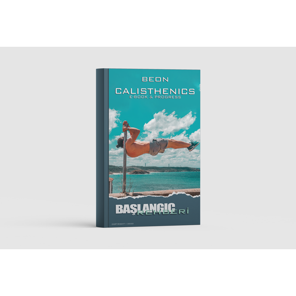 CALISTHENICS E-BOOK & PROGRESS