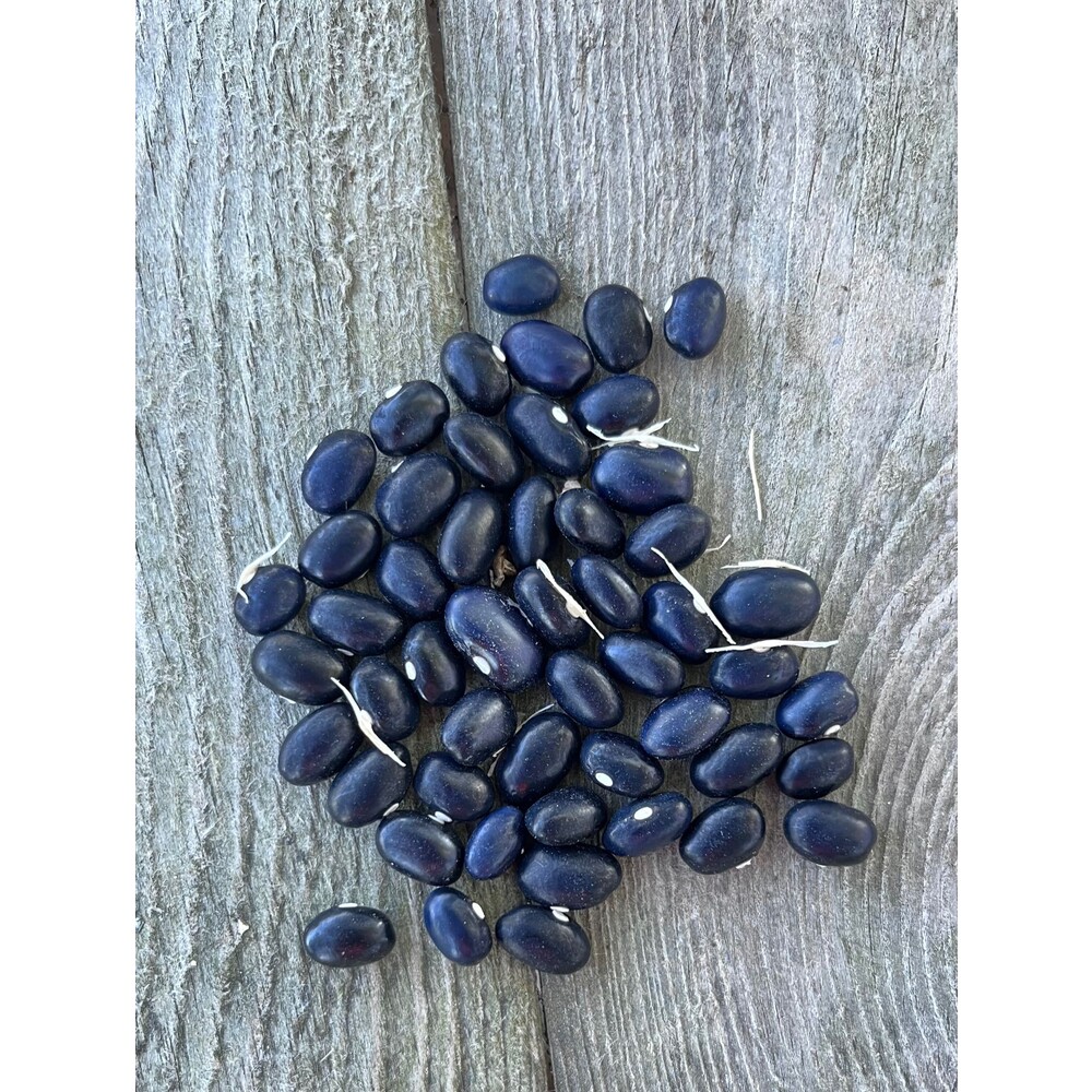 Sarı Fasulye Tohumu (30 adet) (Oturak)