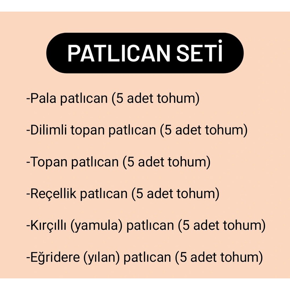 Patlıcan Seti (6 çeşit tohum)