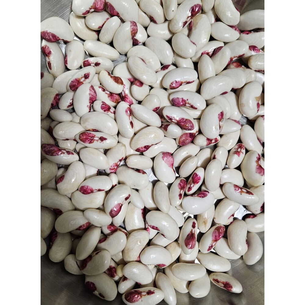Gelin Ayşe Fasulye Tohumu (20 adet) (Sırık)