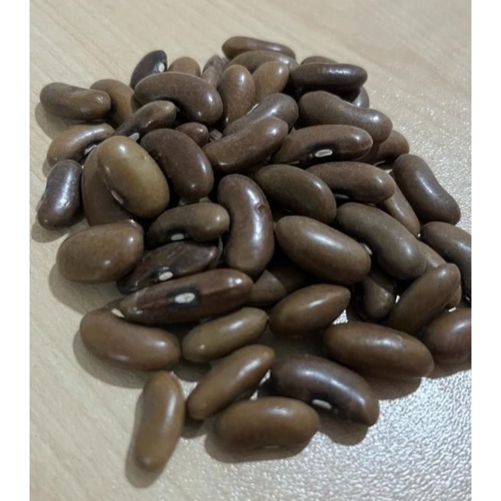 Magnum Fasulye Tohumu (30 adet) (Oturak)