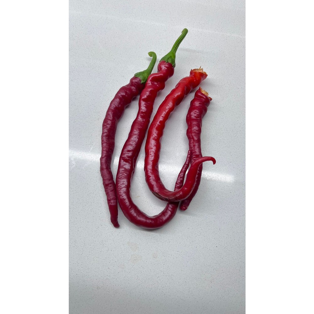 Kıl Sivri Biber Tohumu (20 adet) (Tatlı)
