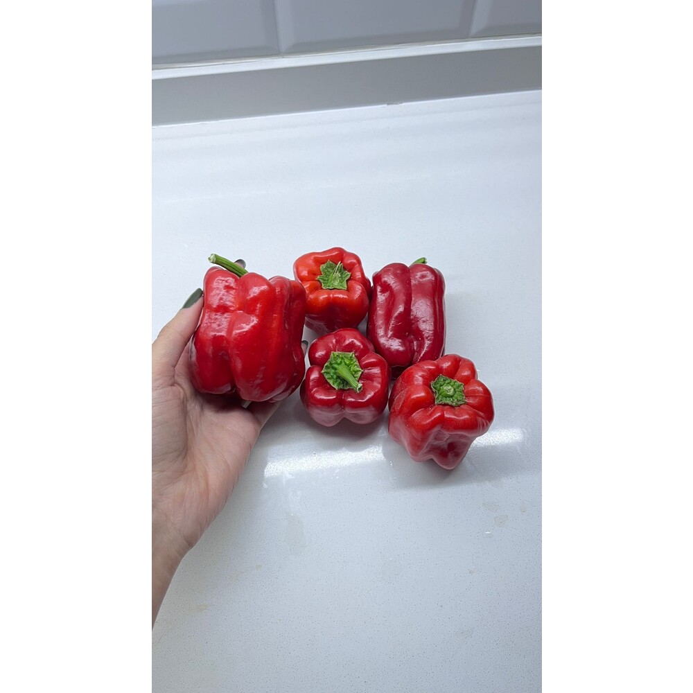 Dolmalık Biber Tohumu (20 adet)