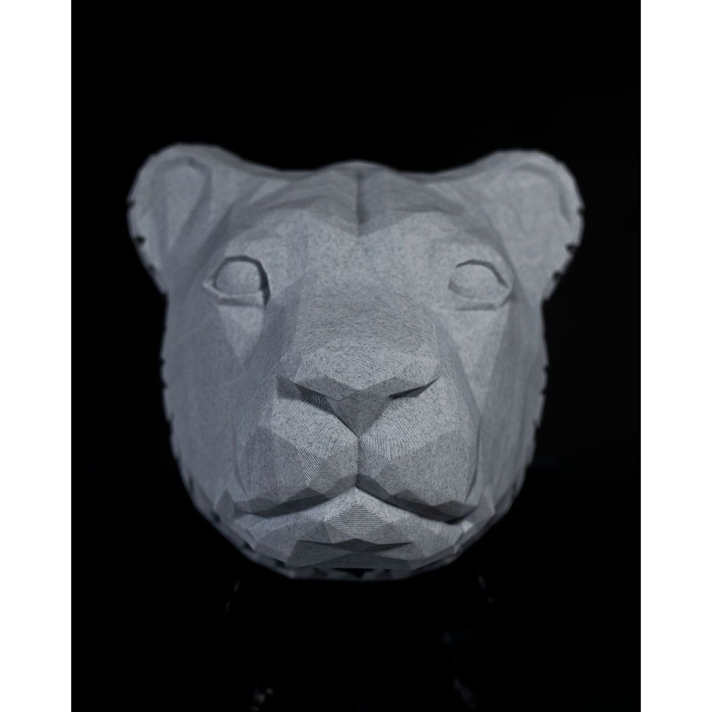 Aslan Kafası Duvar Lambası - Işığın Gücüyle Şekillenen Sanat
