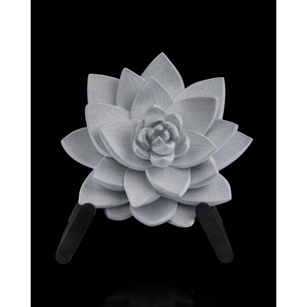 Lotus Çiçeği Duvar Lambası
