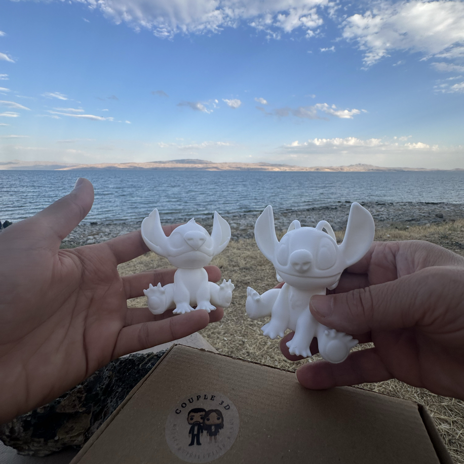 Stitch Couple Boyama Seti | Couple.3d