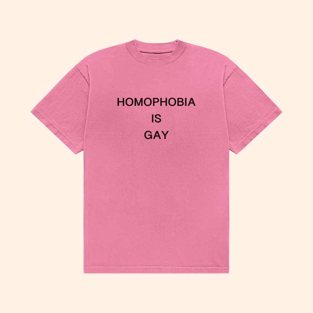 Homophobia Is Gay T-Shirt
