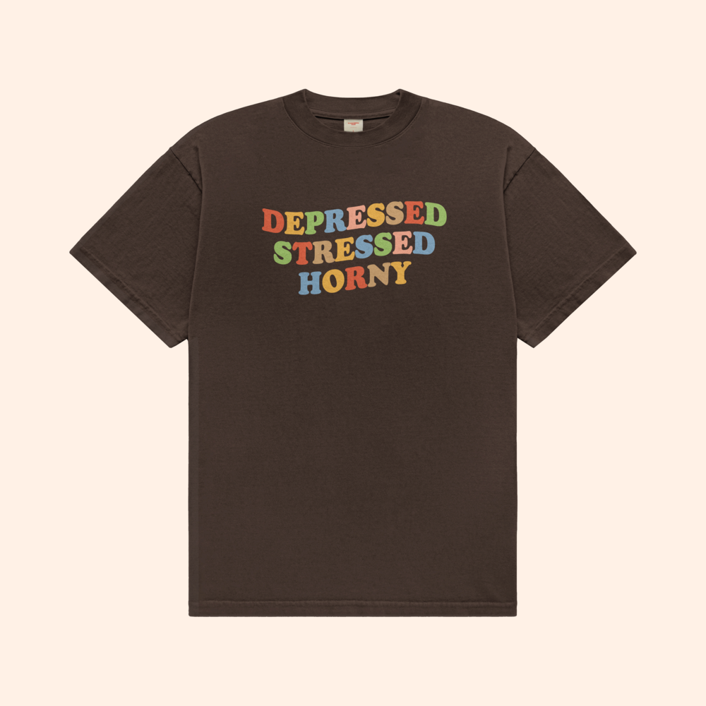 Depressed Stressed Horny T-Shirt