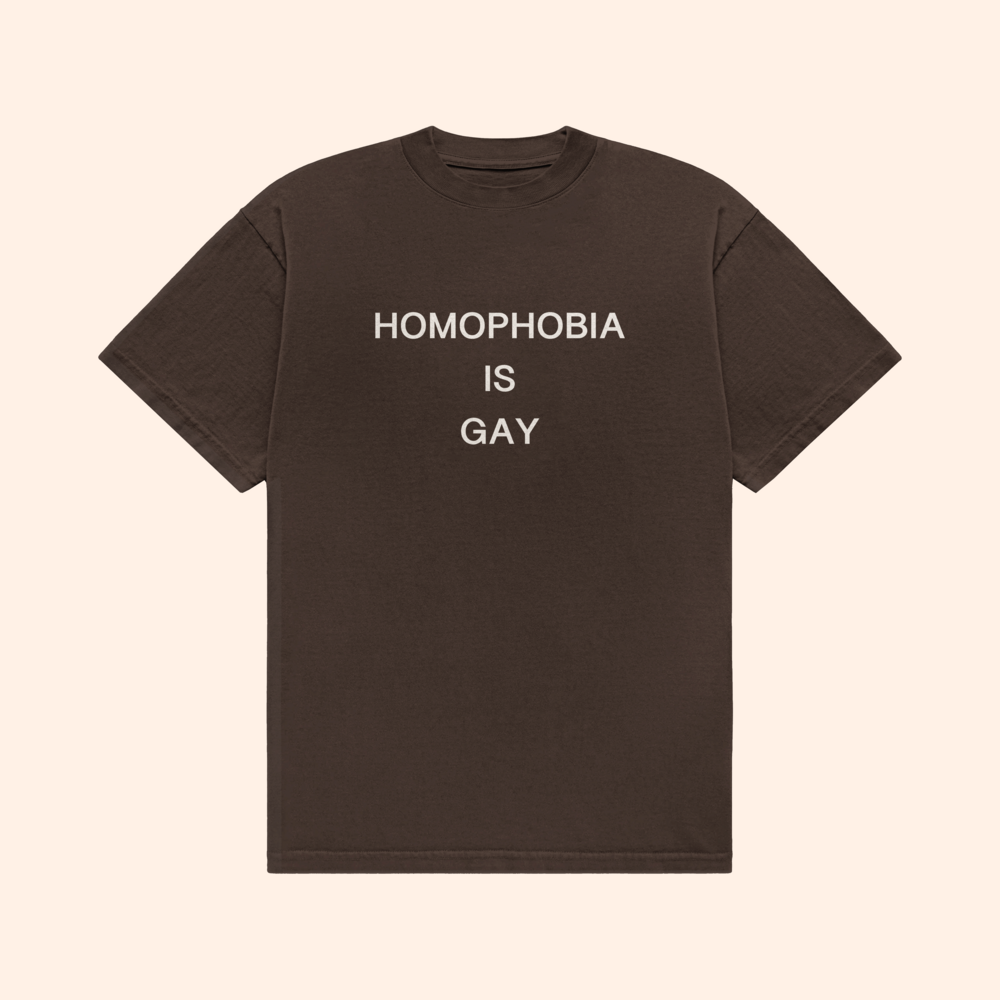 Homophobia Is Gay T-Shirt