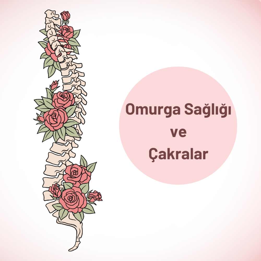 Omurga Sağlığı ve Çakralar