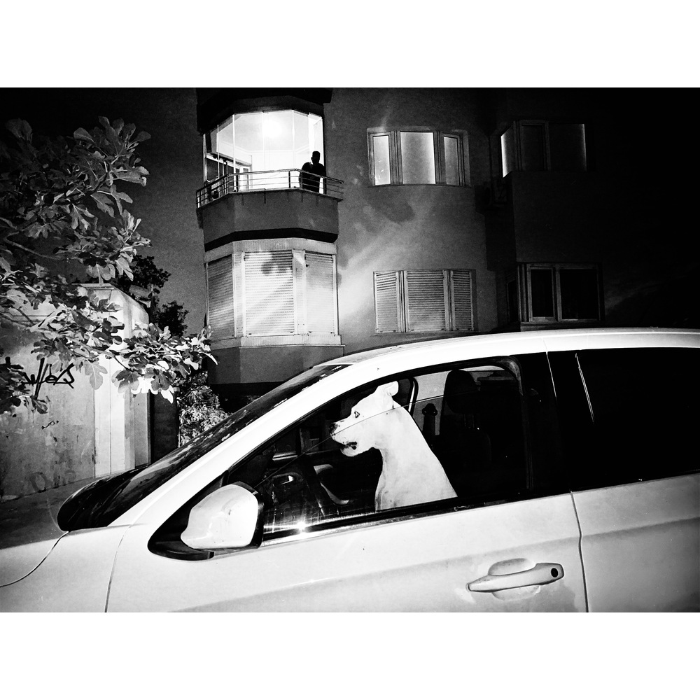 Framed - Istanbul